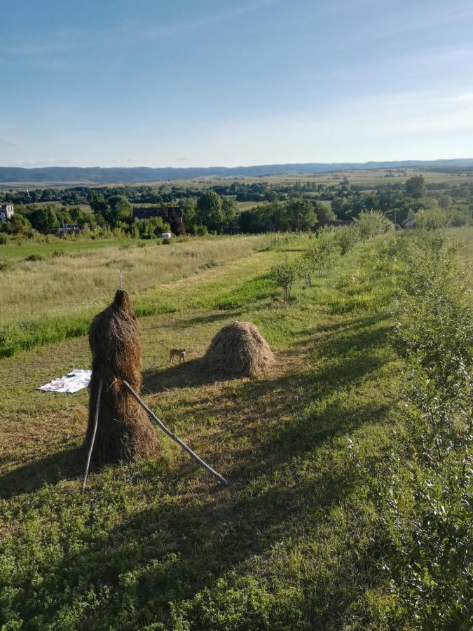 Pensiunea Agroturistica Casa Sirca Boghis Экстерьер фото